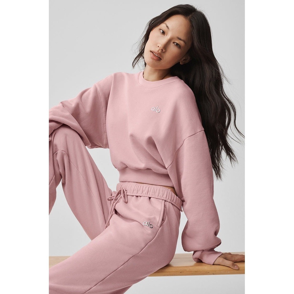 NWT alo Accolade Crew Neck Yoga Cropped Sweatshirt Vintage Rose Pink Small/S